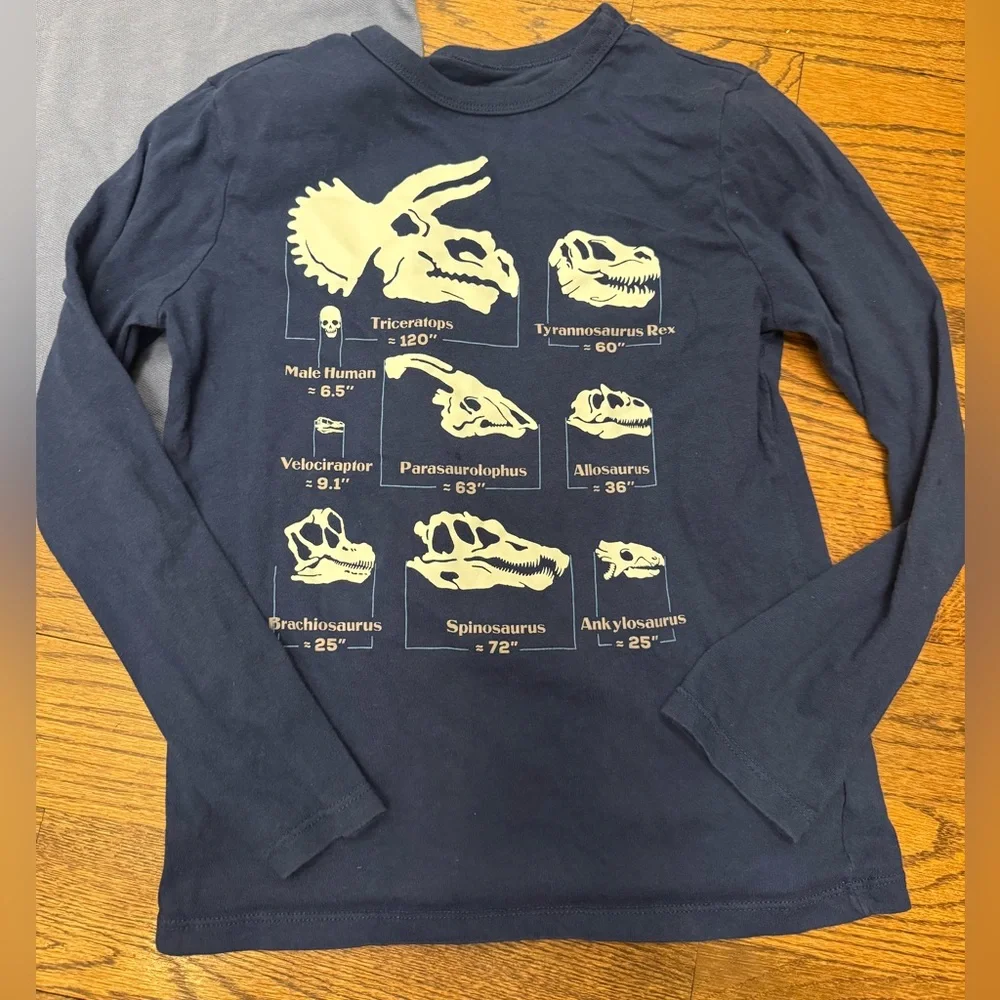 GAP Kids Bundle – Dino Graphic Long Sleeve Tee + Gray Polo Shirt (Size M/8)